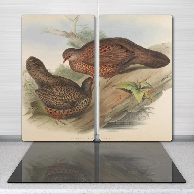 Planche à Découper En Verre Coloray 2 Pièces - Motif Mer, Ciel, Nuages, Animaux (30x52 Cm)