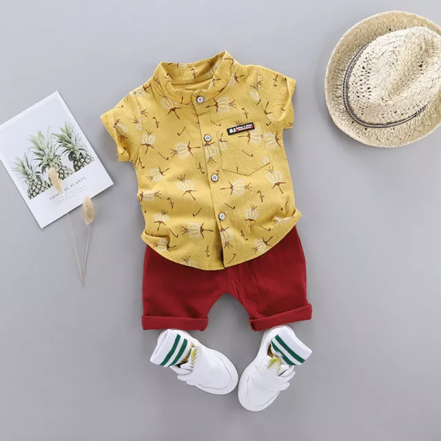 Toddler Kids Baby Boys Cartoon Floral Gentleman Shirt Tops+Shorts Outfits Set AU 3