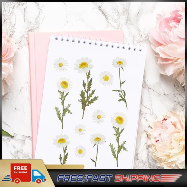 HOWAF 330+ Adesivi Glitterati Per Bambini – 24 Fogli Con Unicorni, Sirene, Animali Marini, Per Scrapbooking E Regali