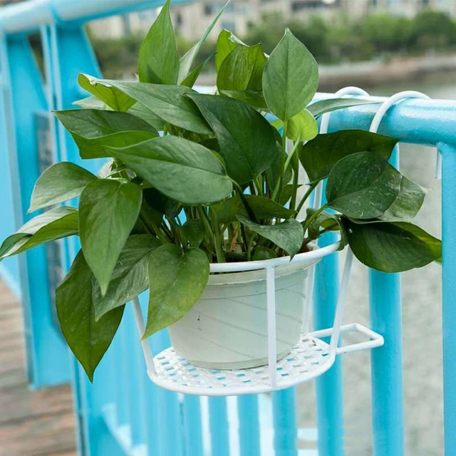 Fer à repasser Balcon Pot à fleurs suspendu, Garde-corps Pot de planteur, 4