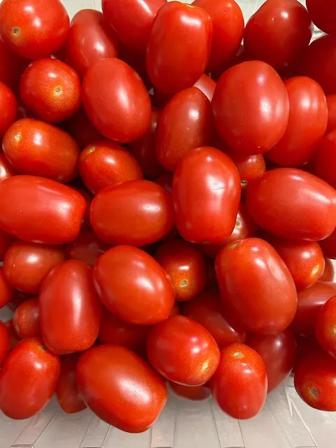 Grape tomato seeds