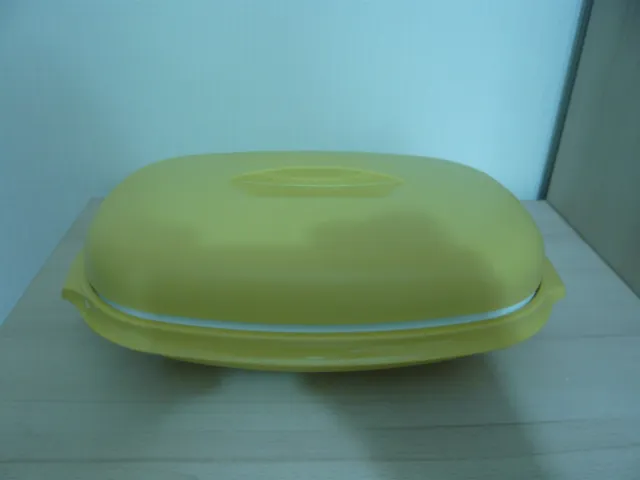https://www.picclickimg.com/PHkAAOSw6WVlj~Di/Tupperware-Vintage-Serving-Dish-Steamer-Oval-3.webp