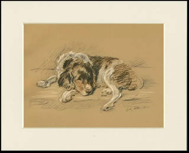 ENGLISH SPRINGER SPANIEL OLD 1937 DOG ART PRINT by MAC LUCY DAWSON READY MOUNTED