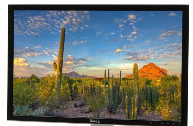 DELL 2407WFPB 24" 1920 x 1200 PC MONITOR SCREEN VGA DVI HDMI DP USB - NO STAND