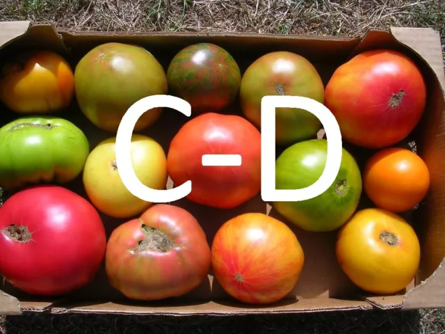 C-D 🍅 40 Varietes De Tomate - 15 Graines   / 40 Tomato Varieties - 15 Seeds  🍅