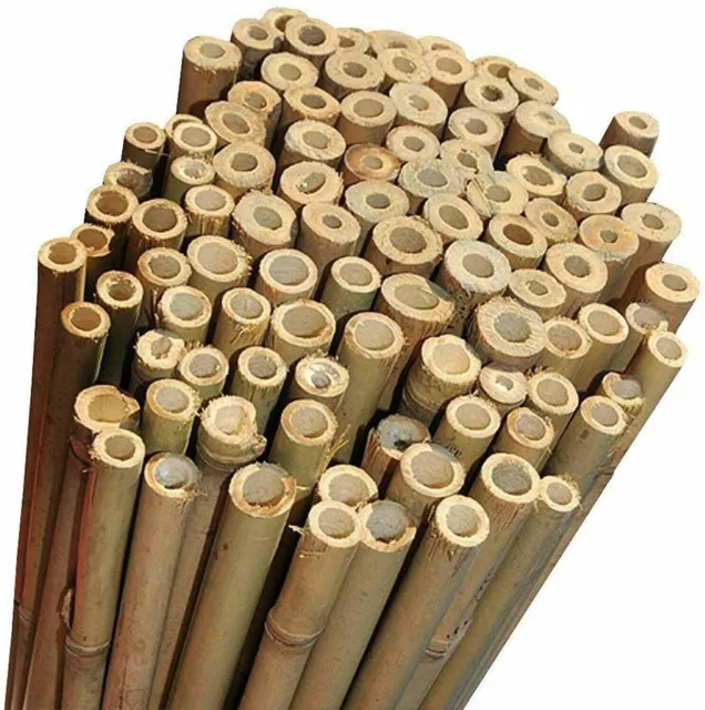 10 Canne di Bamboo per orto diametro 25/35 altezza 220 cm Bambù - tutori canna