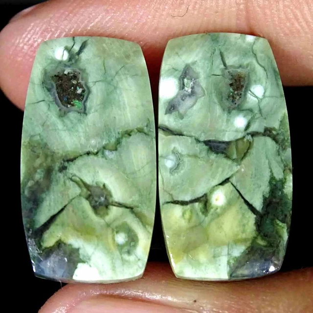 22.70Cts Natürlich Regenwald Jaspis Paar Rhyolite Kissen Cabochon Lose Edelsteim