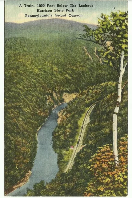 Train 1000 Ft Below Lookout Harrison State Park PA 's Grand Canyon UNP Vtg RR PC