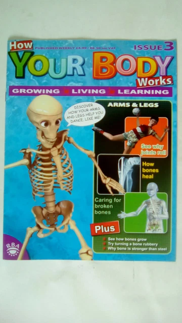HOW YOUR BODY Works Magazine Issue 3 Magazine Only NO SKELETON MODEL ...