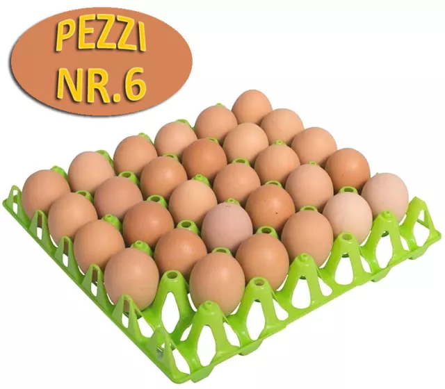 VASSOIO CONTENITORE UOVA, Ideale Comodo per la raccolta uova dal pollaio  EUR 20,00 - PicClick IT