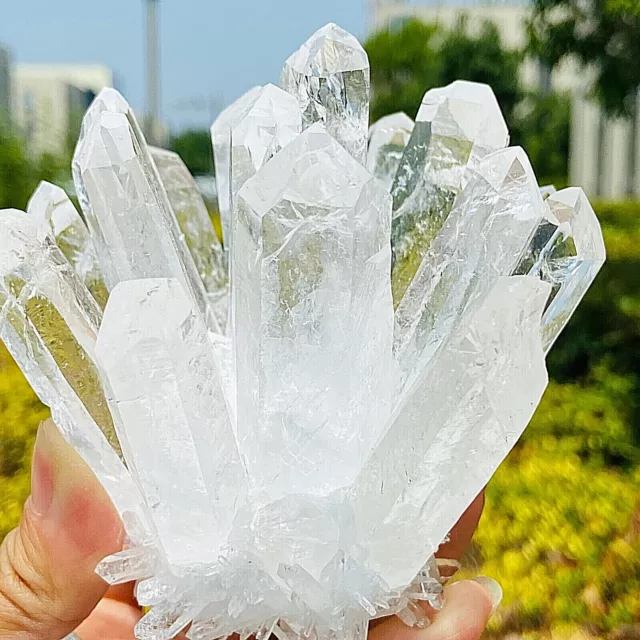 480g New Find white Phantom Quartz Crystal Cluster Mineral Specimen Healing 7