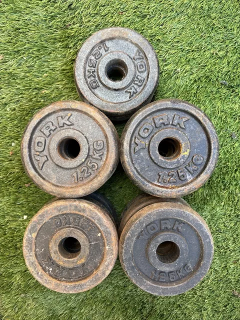 York Weight Plates Cast Iron 1.25kg x 22 = 27.5kg Dumbbell Plates