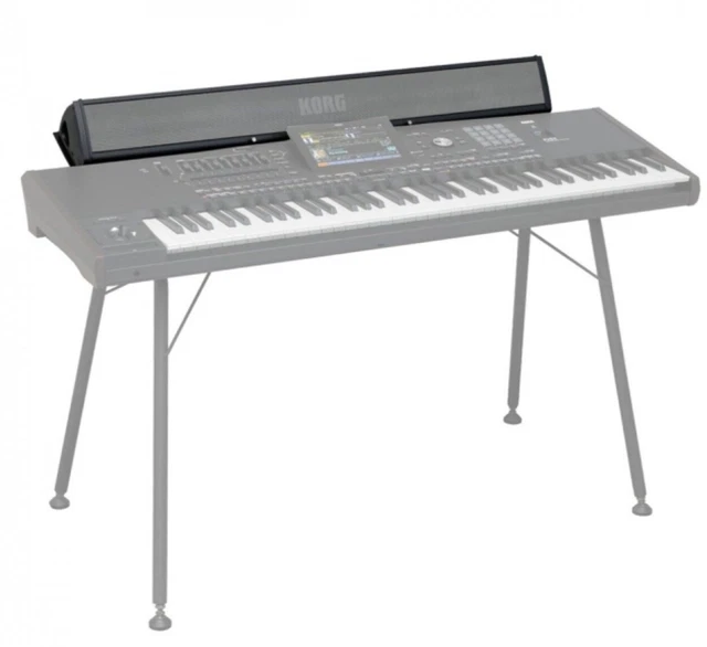 PAAS KEYBOARD Speaker Amp System Pa5X, Pa4X, Pa3X and Pa3X Le £400