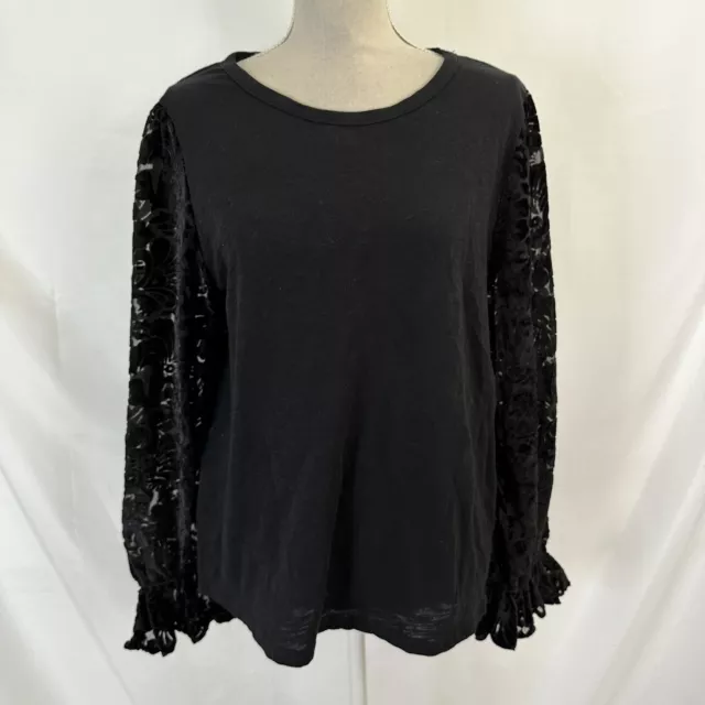 NEW Anthropologie eri + ali Sheer lace sleeve pullover top LARGE Womens