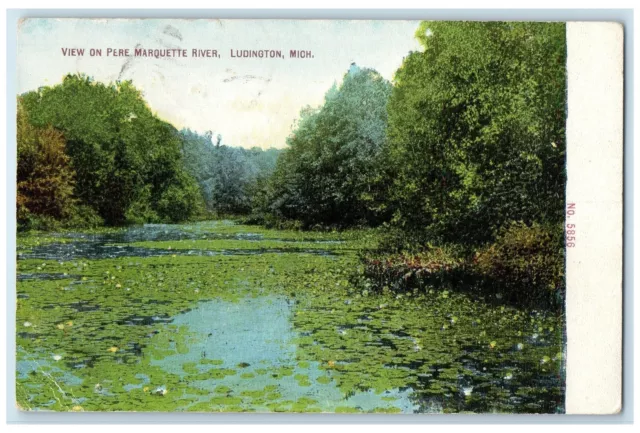 1911 View On Pere Marquette River Ludington Pond Michigan MI Posted Postcard