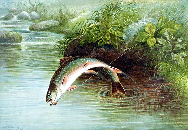 Leaping Brook Trout - 1874 - Game Fishes Of United States - Illustration Magnet