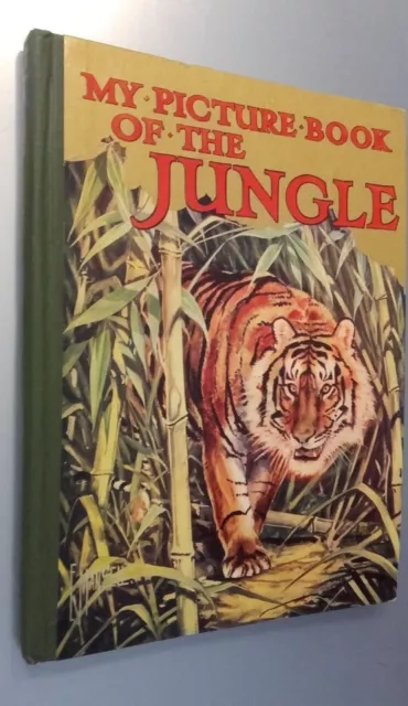 My Picture Book Of The Jungle Illustre Ward Lock&Co London Non Date Abe