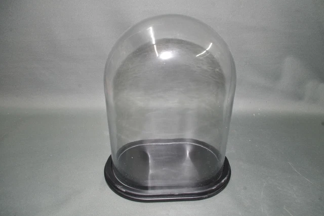 Dôme Cloche En Verre TIHONORI 8x10cm Avec Socle Bois - Présentoir Pour Plantes, Figurines, Collection