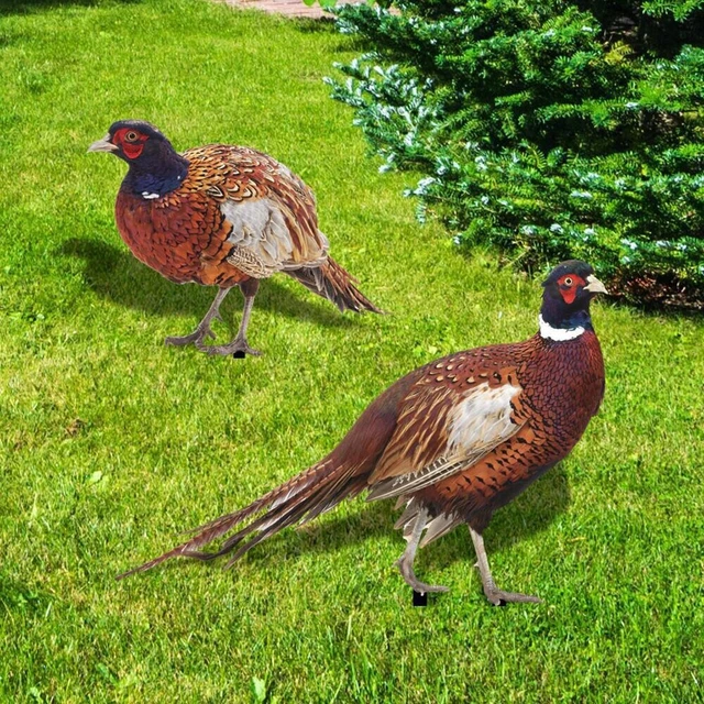 2 Stck. Hahn Garten Pfahlhof Schild | lebensechte Huhn Garten Ornamente