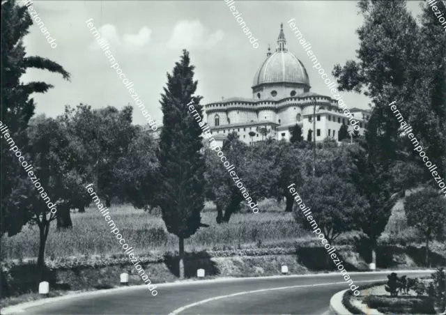 ci406 cartolina loreto basilica e cupola provincia di ancona