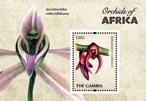 Gambia 2011 - Orchids of Africa - Souvenir stamp sheet - Scott #3402 - MNH