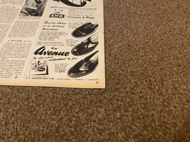 Ppobk12 Advert 7X5 New Avenue Shoes