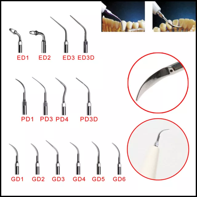 14Type Dental Ultrasonic détartreurs Scaling Endo Perio Tips Fit SATELEC DTE ASC