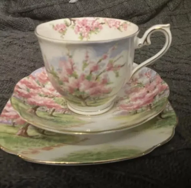ROYAL ALBERT BLOSSOM TIME CUP SAUCER & PLATE  Lovely Mother Day Gift