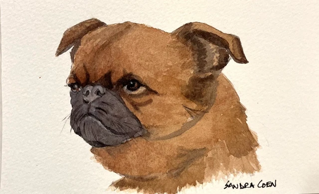 Brussels Griffon Original Watercolor by Sandra Coen Head Study