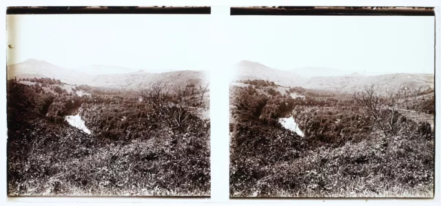 Landscape Artistic Photography France Stereo PL58L13n9 Glass Plate c1920