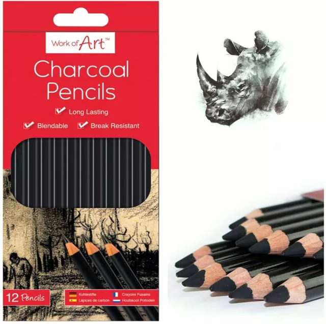 12 Sketching Artist Pencils Drawing Soft Hard Assorted Graphite