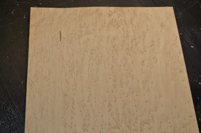 Birdseye Maple Raw Wood Veneer Sheet 13 x 35 inches 1/42nd BLEMISHED    L4665-73