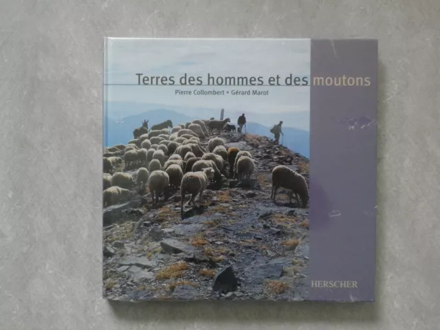 Terres des hommes et des moutons. P Collombert, G Marot
