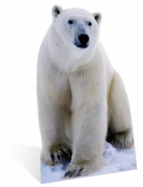 Oso Polar - Lifesize Silueta de Cartón / Figura Pie