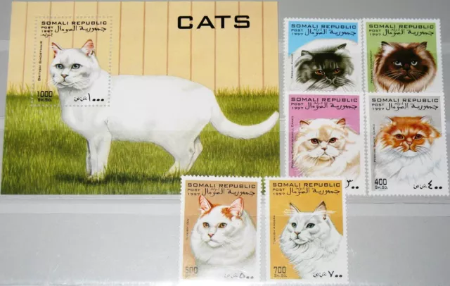 SOMALI REPUBLIC 1997 unlisted set + Block Cars Katzen Rassekatzen Fauna MNH