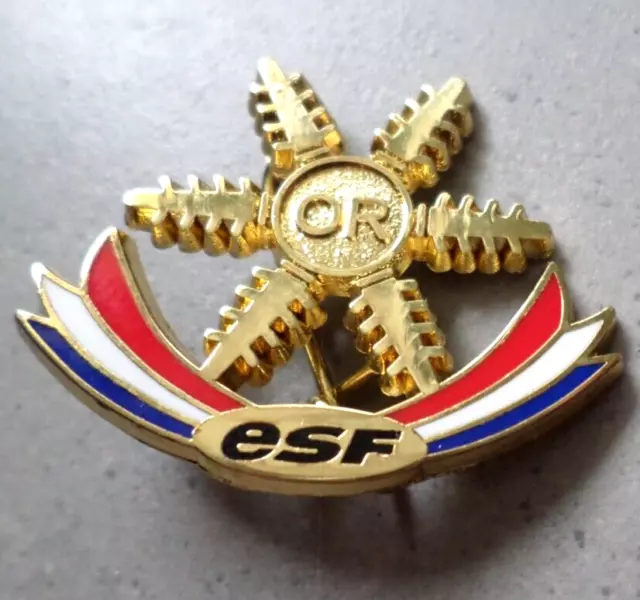 BROCHE DE SKI nouvelle version / ESF FLOCON D'OR /  / INSIGNE ETOILE MEDAILLE