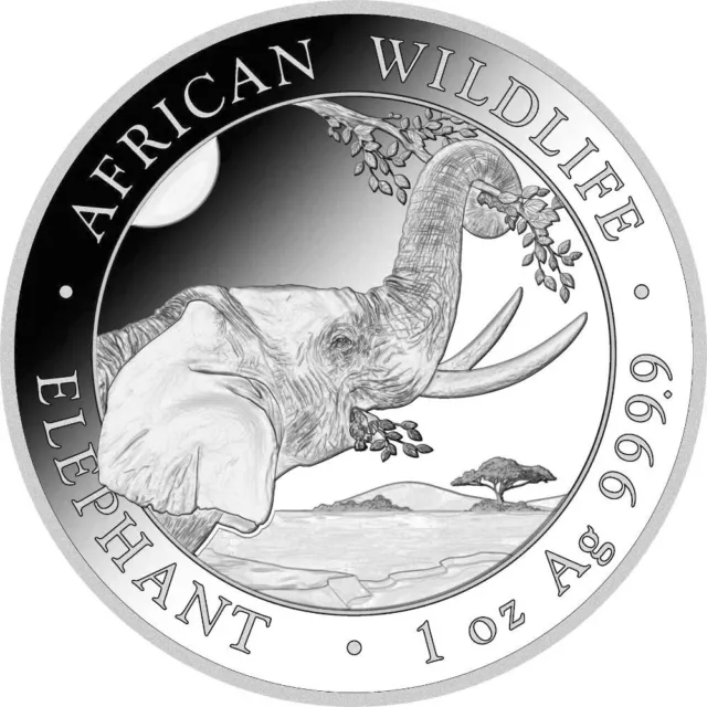 SOMALIE 100 Shillings Argent 1 Once Elephant 2023