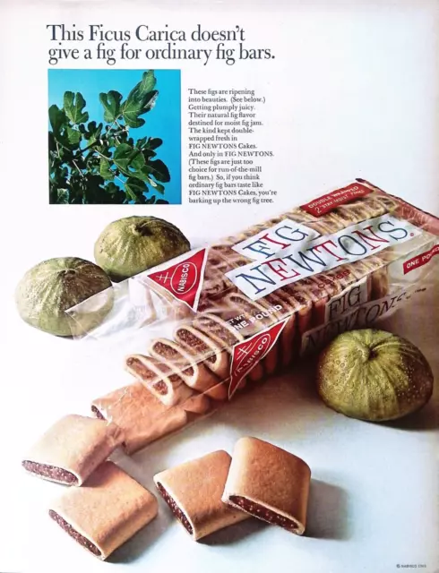 Nabisco Fig Newton Cookies 1966 Print Ad No Ordinary Fig Bar 10.5"X13"