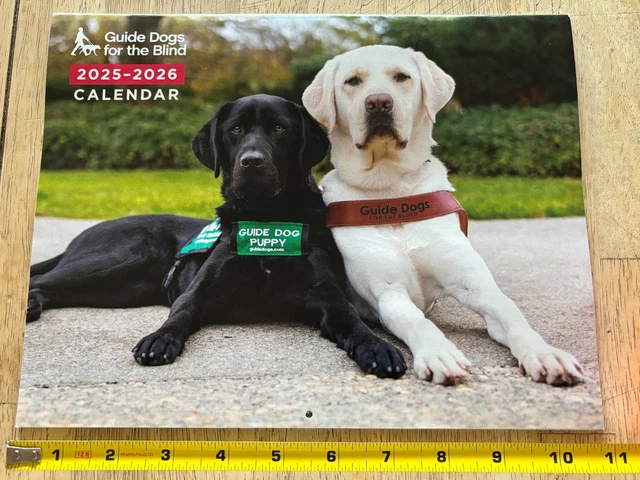 GUIDE DOGS FOR the Blind - 2026 Wall Calendar - 15 Months - Darling Dog ...