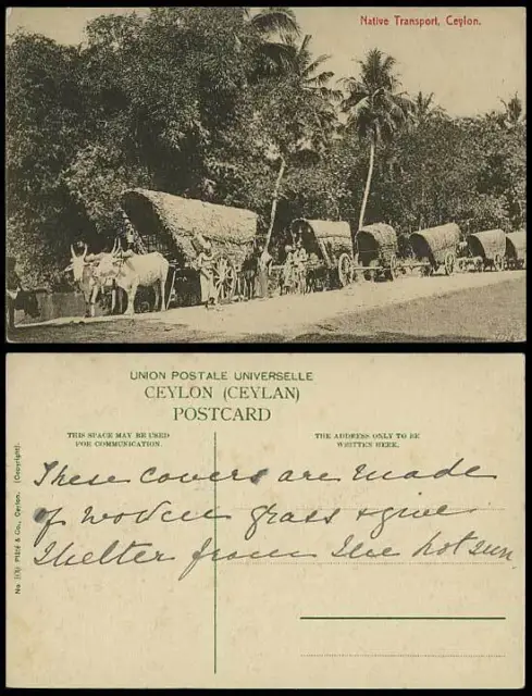Ceylon Old Postcard NATIVE TRANSPORT, Men Workers and Double Bullock Carts Plate