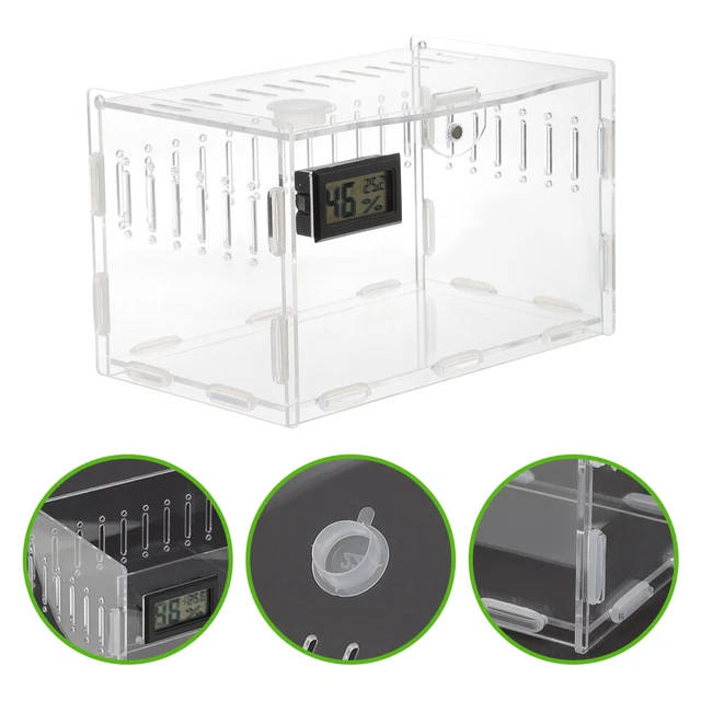 Contenedor de cricket recinto de reptiles barba araña recinto de insectos terrario
