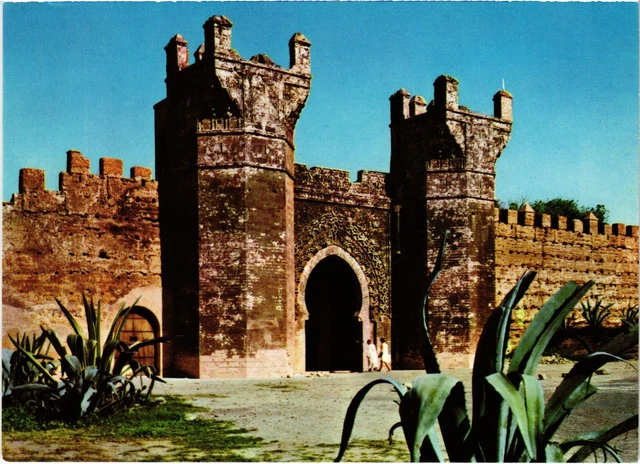 CPM AK MAROC - RABAT - La porte de la Chellah (87218)