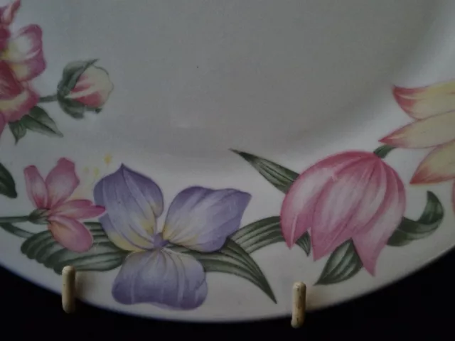 Lovely Royal Doulton Expressions Dinner Plate "Blooms" 27 cm 2