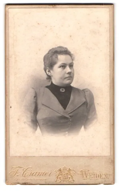 Fotografie F. Cramer, Weiden, Portrait Dame im taillierten Kleid mit Brosche un