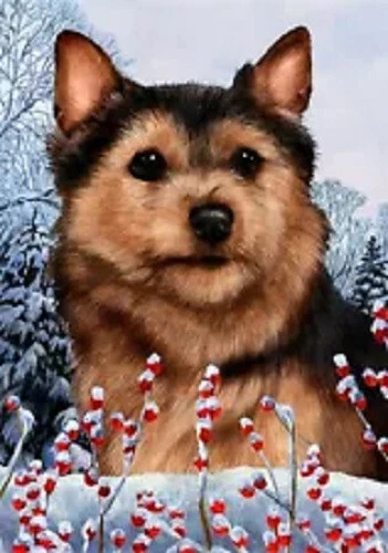 Winter Garden Flag - Black and Tan Norwich Terrier