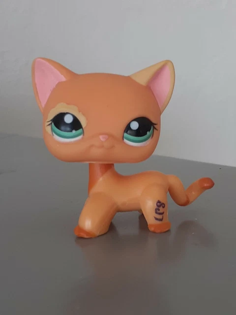 Figurine Petshop Chat Européen N°1643 – Occasion Pour Collection