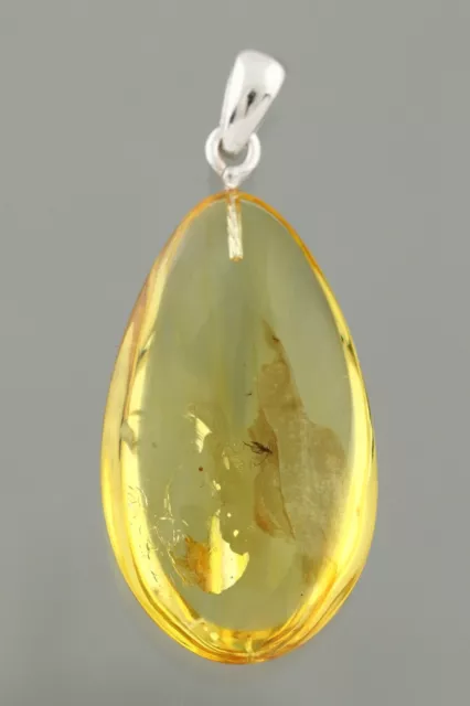 Fossil Insect GNAT Genuine BALTIC AMBER Silver Pendant 2.9g 231205-5