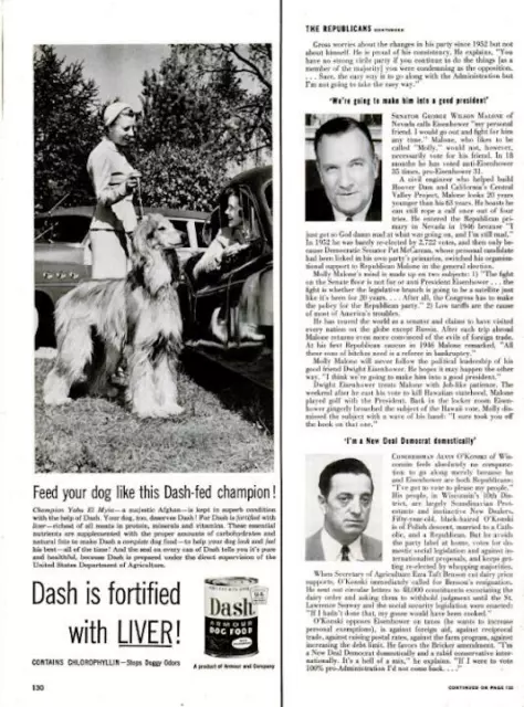 1954 Dash PRINT AD Armour Dog Food Afghan Champion Yabu El Myia