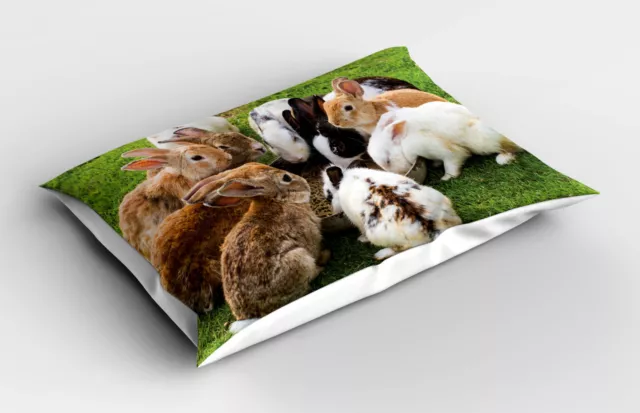 Kopfkissenbezug Flauschig Modern Chic Kissen Hase Echt Bild einer Gruppe Feeding