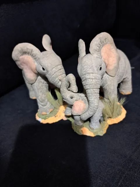 tuskers elephants
